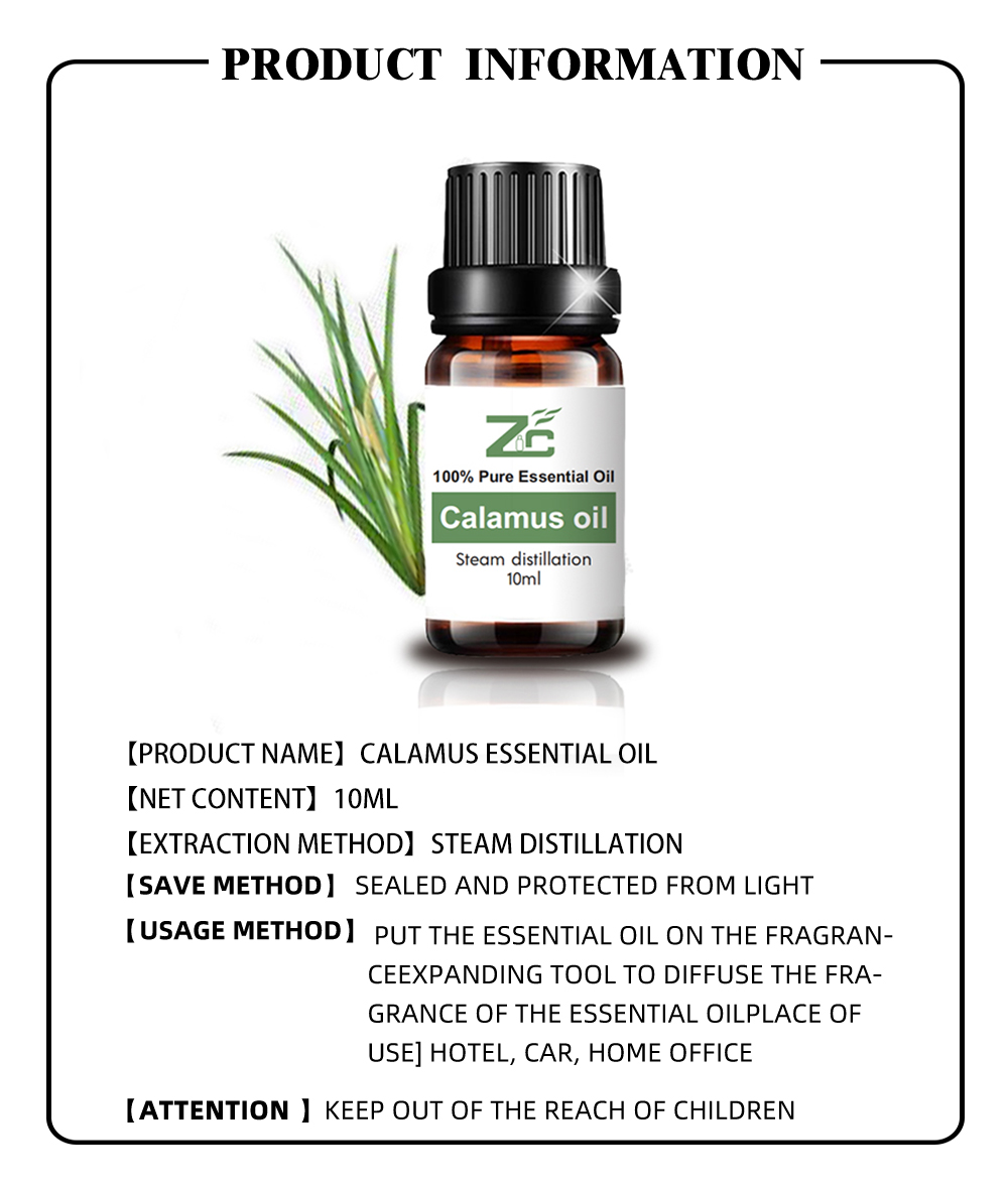 Calamus Essential Oil With High Quality