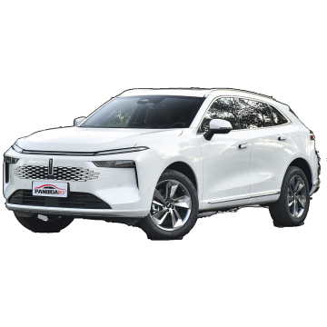 2024 WEY Moka DHT-PHEV: Chinese-Made Adult Electric SUV Hybrid HEV Car