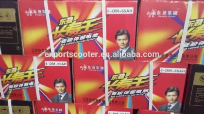 Original lead acid human logo brand battery hot good quality