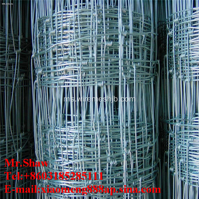 Keluli karbon rendah menenun dawai Kraal Rangkaian pagar