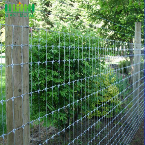 Metal Frame Material Fixed Knot Farm Fence