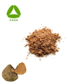 Nature Willow Bracket Mushroom Mesima Extract Powder