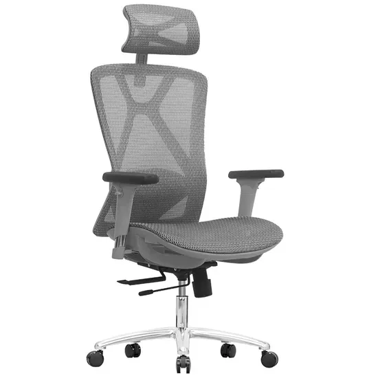 Ergonomic Mesh Office Chair with Headrest and Lumbar Support