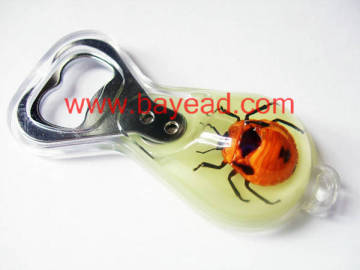 real insect amber lucite Bottle Opener,unique  Bottle Opener
