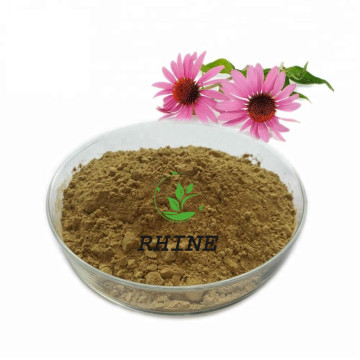 Echinacea Özü% 4 polifenoller tozu