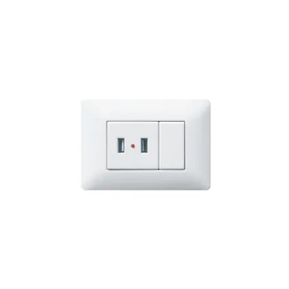 USB 220V Wall Socket