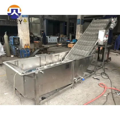 Tomatoes Carrot Vegetable Fruit Washing and Drying Machinery