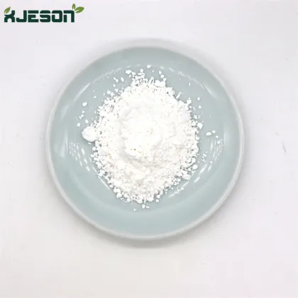 Organic pumpkin protein seed powder