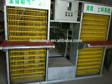 Qingdao Strato di pollo di alta qualità Cage buon prezzo