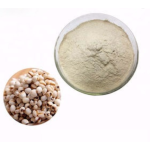 Supply Organic Coix Seed Extract Powder