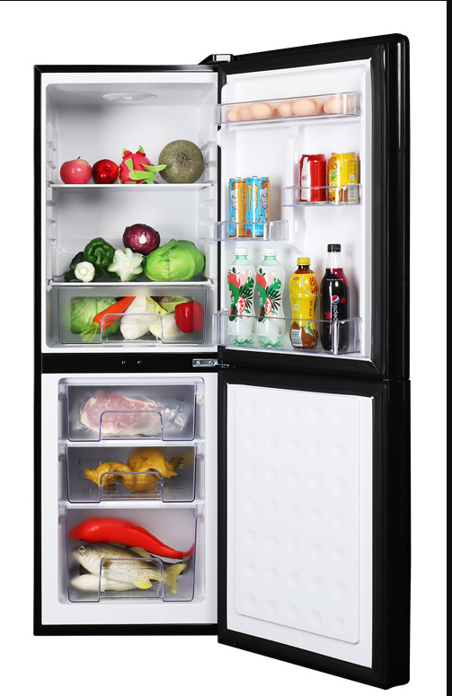 Popular classic two-door refrigerator