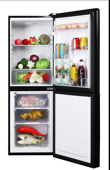 Popular classic two-door refrigerator