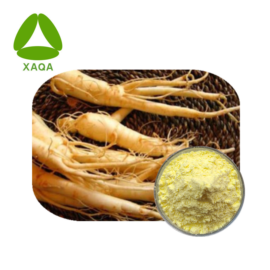 Extrato de folha de ginseng ginsenosídeos 80% em pó CAS 90045-38-8