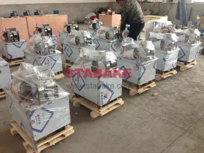 Automatic Dumpling and Wonton Making Machine