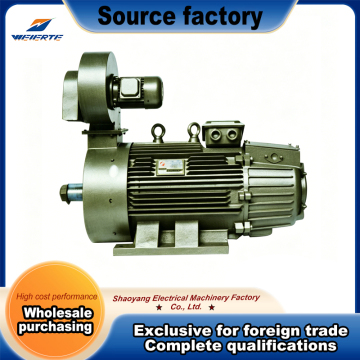High Torque Crane Duty Motor with Rugged Construction