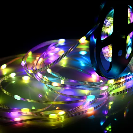 Garland LED String Lights Christmas Decorations Holiday RGB WS2812B IC LED Fairy Lights For Room Party