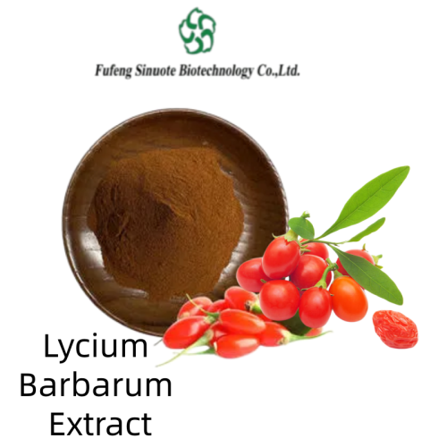 Pure Lycium Barbarum Extract Powder for Antioxidant Benefits