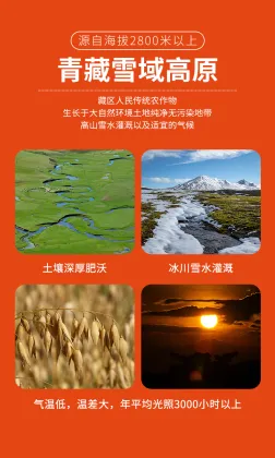 Qinghai Plateau Oat Flakes | Pure Grain, Brew with Hot Water or Warm Milk