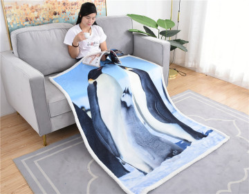 Custom Design 2021 Cartoon Pattern Large Printing 100% Polyester Sherpa Fleece Blanket