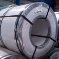 Precio a granel de fábrica 310s Ss Coil