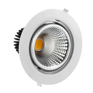 360 Degree Rotatable 30W COB LED Down Light - Shenzhen Gosun LED Ltd