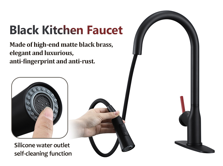 Pull Out Kitchen Faucet