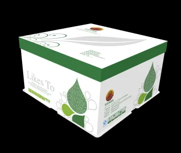 White Cardboard Boxes with Lid