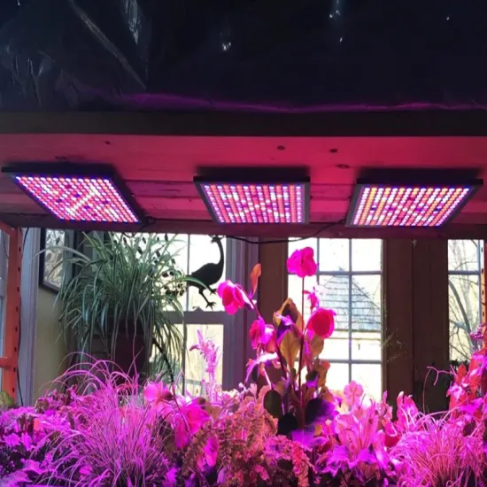 Full Spectrum 45W/50W LED Grow Light: Boosting Plant Growth and Development for Optimal Harvest