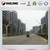 Stainless Steel Y Shape Light Pole with Double Arm