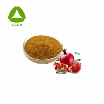 Pomegranate Peel Extract 40% Polyphenol Powder