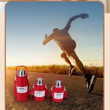 Vacuum stainless steel insulated pot