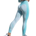 gymshark legging liền mạch nhẹ