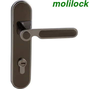 Double Open Handle Door Lock
