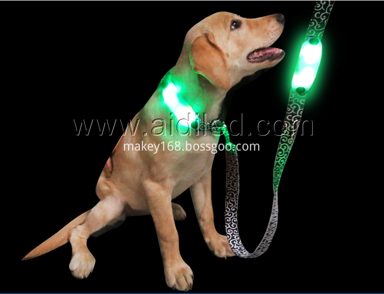 Light-Up Dog Leash