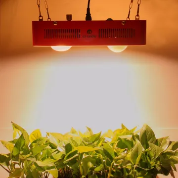 Dimmable Bridgelux led grow lights , citizen cob grow lights for indoor greenhouse
