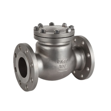 RTV Stainless Steel Check Valve 12X18H9T GOST 9544 Russia Made in China