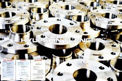 BS10 Table DE Weld Neck Flange SOFF BLANK