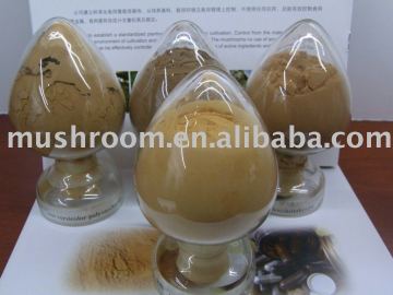 Cordyceps powder,cordyceps extract ,Cordyceps sinensis extract,cordyceps mycelium powder