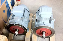 Customized WEG Brand Electric Motor