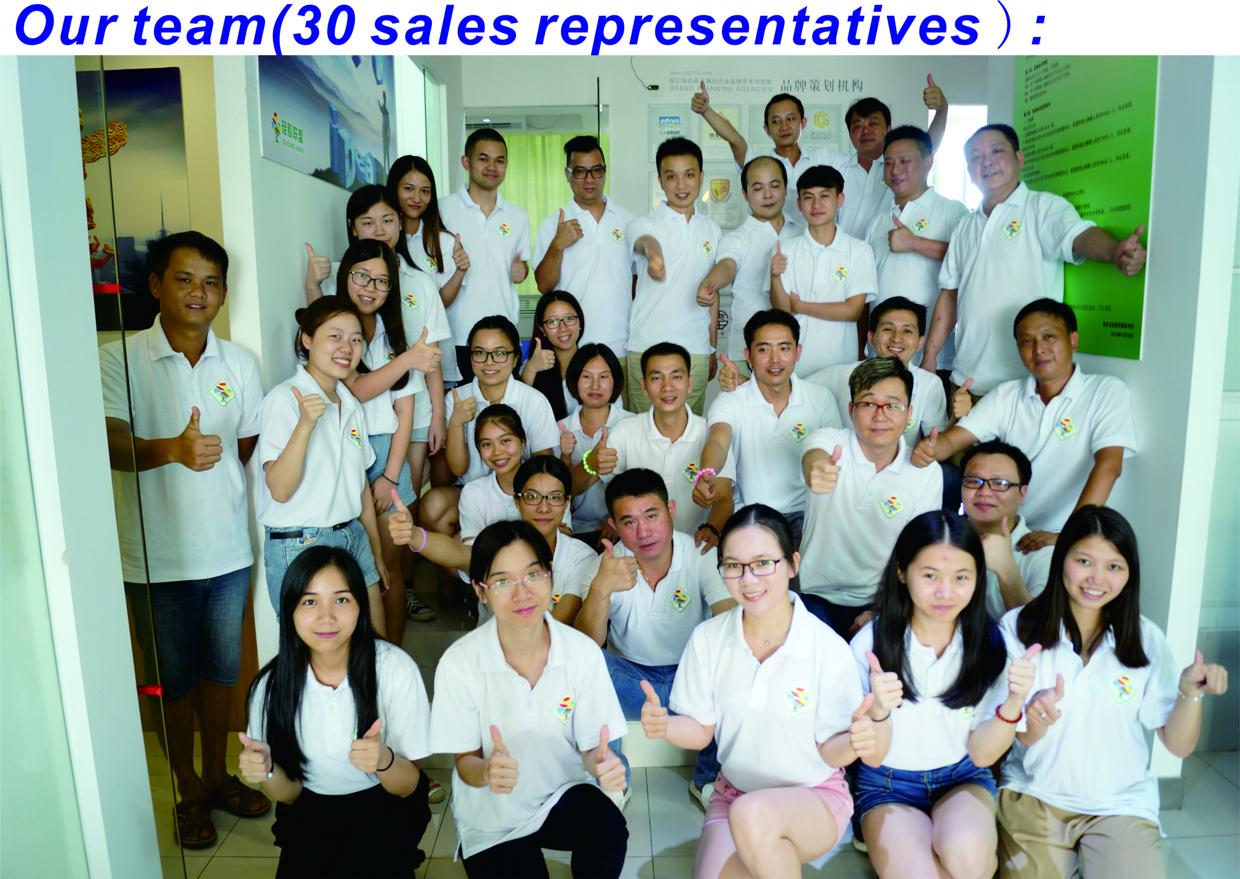 Our team(30 sales representatives )