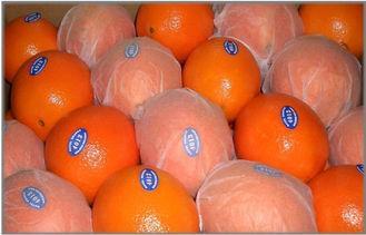 Citrus Fresh Navel Orange Contains Potassium For Preventing