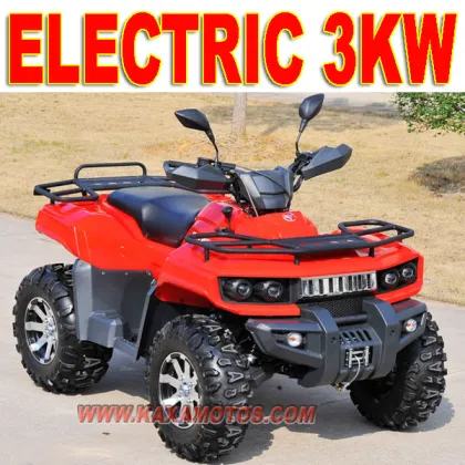 3000W ATV Electric 48V ATV