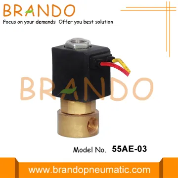 CEME Type 1/8'' FKM Seal Brass Solenoid Valve