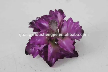 CHY040923 Wholesale cactus plant/indoor decoration plant/mini cactus
