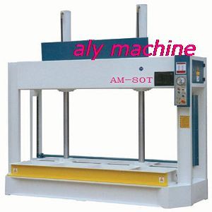 AM-80T cold press machine