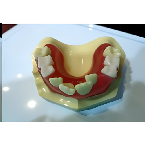 Dientes caducifolios Total de 20 dientes: 8 incisivos