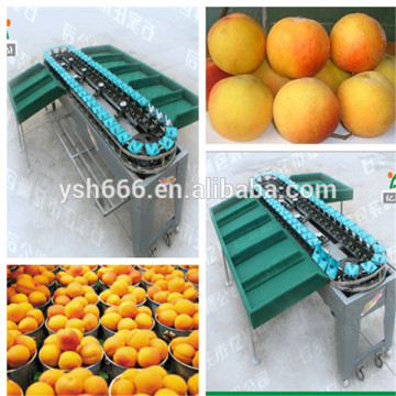 Fruit and vegetable sorting machine