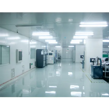Customized Medical Dust-Free Clean Room Workshop