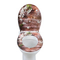 Duroplast Toilet Seat Soft Close in white-flower pattern