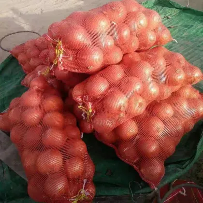 High Quality Fresh Onions